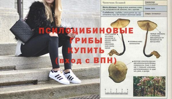 круглые Магас