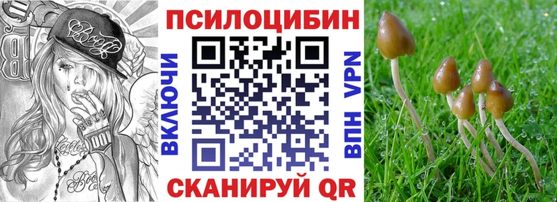 Псилоцибиновые грибы Cubensis  Купить где  Западная Двина 